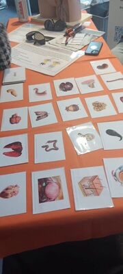 Berufemarkt_6_1838032247428